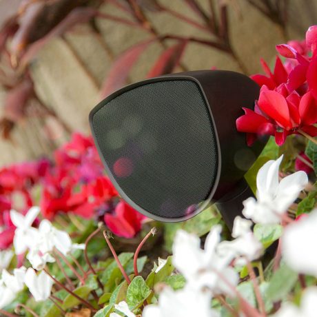 Origin Acoustics Speaker in Flowers Origin Acoustics Speaker in Flowers