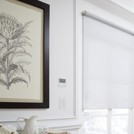 Smart Home with Lutron Lighting Controls, Smart Shades, Electric Shades, and HVAC Controls, Heating and Cooling Controls Smart Home with Lutron Lighting Controls, Smart Shades, Electric Shades, and HVAC Controls, Heating and Cooling Controls