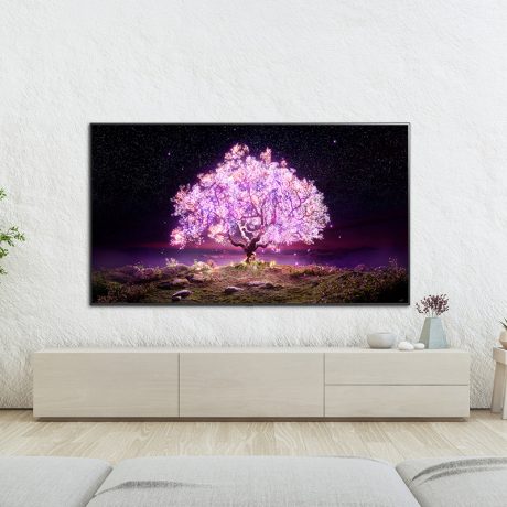 LG OLED LG OLED